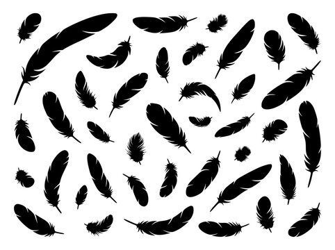 Black feather silhouettes collection, bird plumage vector set. Minimalist quill icons, decorative wing elements for graphic design.