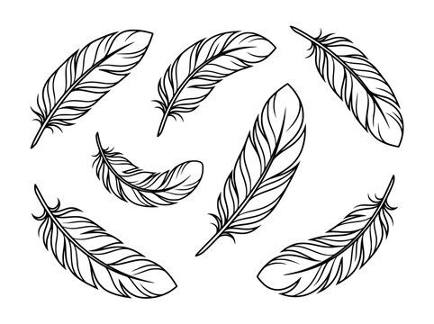 Vintage hand drawn feathers set, black ink bird feather illustrations, 7 decorative quill vector elements for logo design