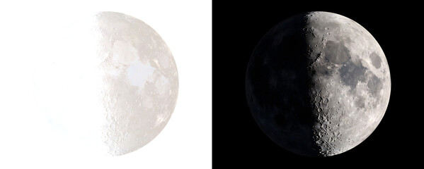 Moon in a half phase showing detailed craters and a rocky surface for design in PNG, Transparent and Black Background Versions © Crafter