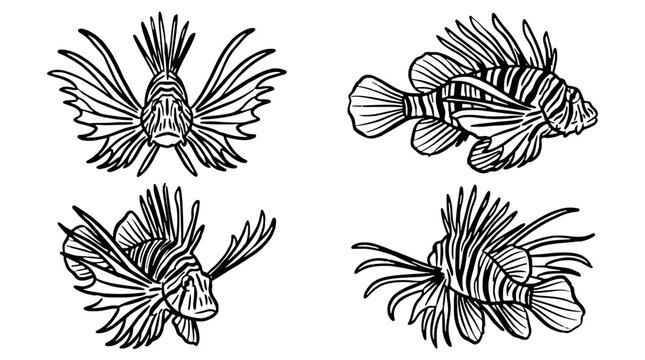 Black and white lionfish vector graphic set