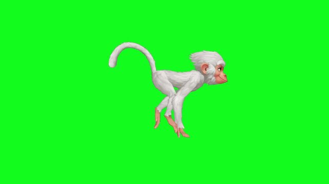 White monkey character walking cycle animation on a green screen background
