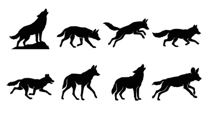 Obraz premium Set of black silhouettes of wolves in various poses and actions on white background.