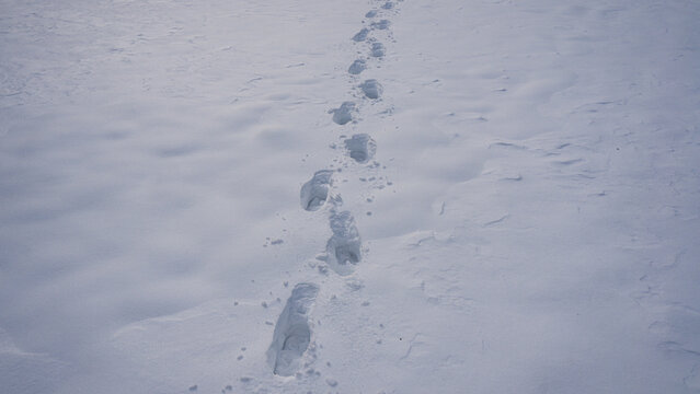 Snow pathway in winter landscape. Footprints on snowy trail. Walking forward in snow. Snowy footpath in winter. Footsteps on frozen surface. Winter walk in snowy field. Trail of footprints in snow.