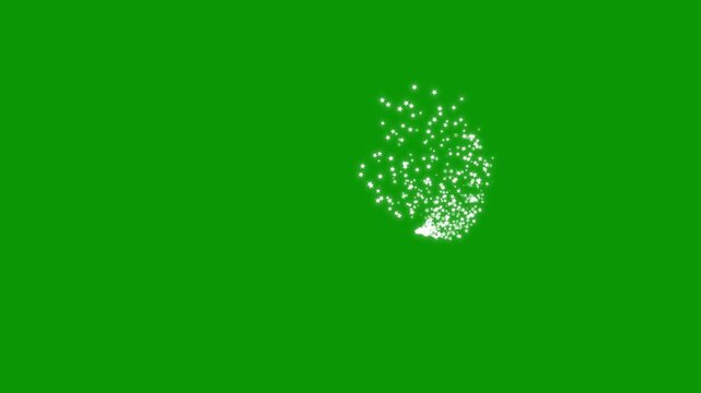 Twinkle stars line glitter sparkles, sparkling stars shine animation, blinking cartoon stars, star sparkle vector doodles, glowing light effect, retro shine, green screen 4k video
