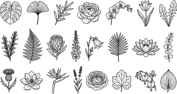 vMinimalist Botanical Line Art Icon Bundle Featuring Hand Drawn Elegant Flowers Tropical Leaves and Wild Herbs Vectors for Premium Graphic Branding Designs