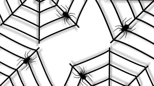 Halloween Spider Web Background Animation With Crawling Black Spiders On White Background.