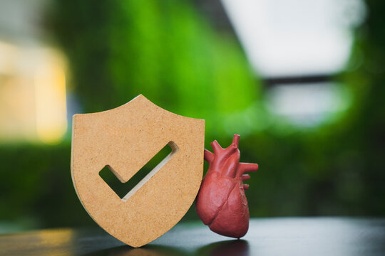 Cardiovascular health insurance and cardiology checkup concept with wooden shield with checkmark beside anatomical red heart model on table against green bokeh for vital organ protection.