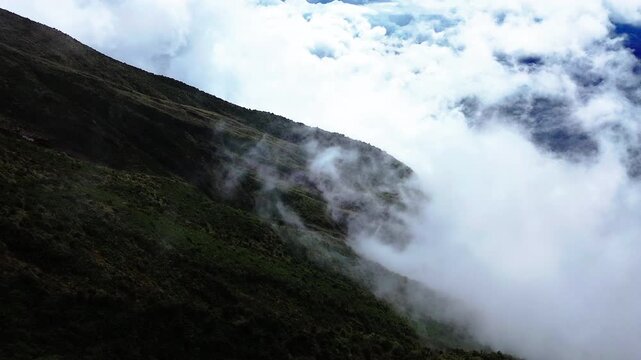 Misty Mountain Slope in Ecuador Cloud Forest with Low Clouds, Green Vegetation and Remote Andean Wilderness Travel Landscape
