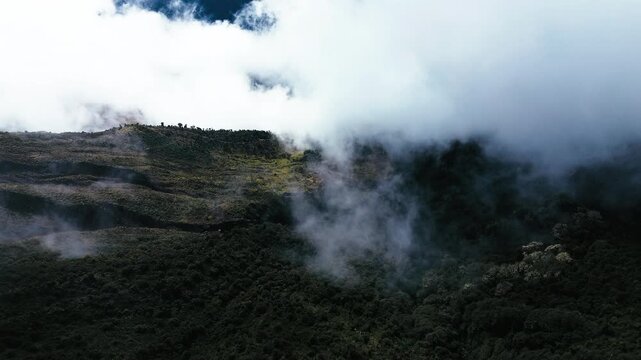 Misty Tropical Mountain Forest in Ecuador with Low Clouds, Green Slopes, Remote Andean Wilderness and Scenic Cloud Forest Landscape