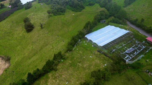 Aerial View of Greenhouse and Farm Fields in Ecuador Mountain Valley, Rural Agriculture, Cloud Forest Edge and Andean Countryside Landscape