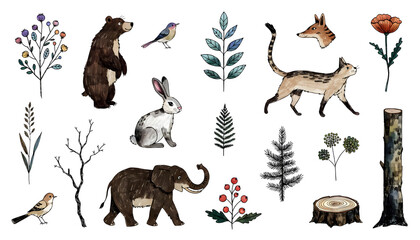 Obraz premium Hand drawn wild animals and forest flora collection. Woodland wildlife biodiversity and nature concept. Bear rabbit cat elephant bird and plants isolated on white background