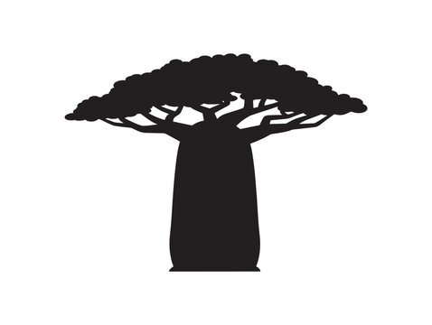 Minimalist baobab tree icon silhouette vector illustration for branding and design projects