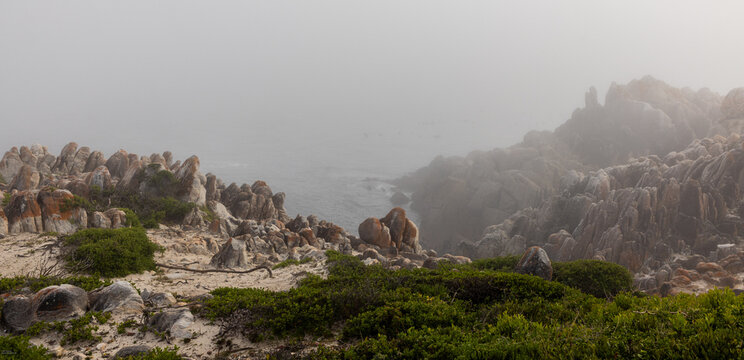 moody landscape of rock formations in sunrise fog, DeKelders, South Africa