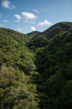 快晴の空と深い緑に覆われた森の山