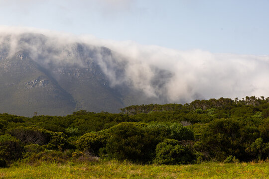 heavy fog embracing and descending mountain top, Gansbaai, South Africa