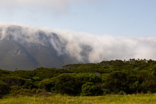 heavy fog embracing and descending mountain top, Gansbaai, South Africa