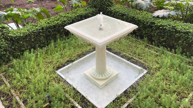 Square pedestal garden fountain with gentle water flow framed by low boxwood hedge and groundcover plants, daytime close shot