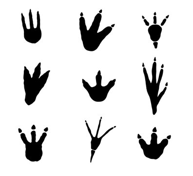 Dinosaur footprint silhouette, isolated black icon with claw marks. Vector dino track for prehistoric themes, monster step designs, and paleontology projects.