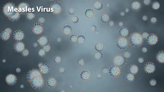 Animated Measles Virus Particles Drifting on Grey Background