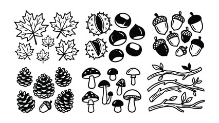 Fototapeta premium Autumnal Elements Collection: A charming set of hand-drawn illustrations featuring maple leaves, chestnuts, acorns, pinecones, mushrooms, and branches, evoking the essence of fall and nature's bounty.