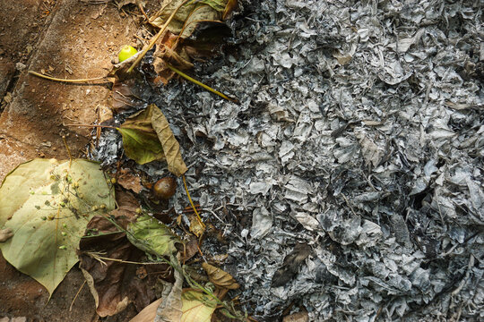Top view image, full frame gray and black of burnt dry leaves on the ground, creating a detailed natural textured background suitable for a design theme background image