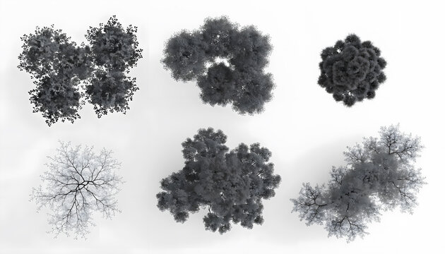 Architecture landscape trees top view plan icons. Urban planning foliage layout and blueprint design. Overhead perspective black and white crown trees isolated on white ground