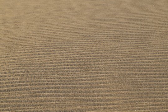Wind drifts form small waves in sand, Sorteb&aelig;rdalen Strand, Houvig, North Sea, Denmark