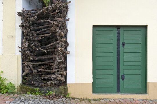 A detail of Kellergasse, Falkenstein, Weinviertel, Lower Austria, Austria, Europe