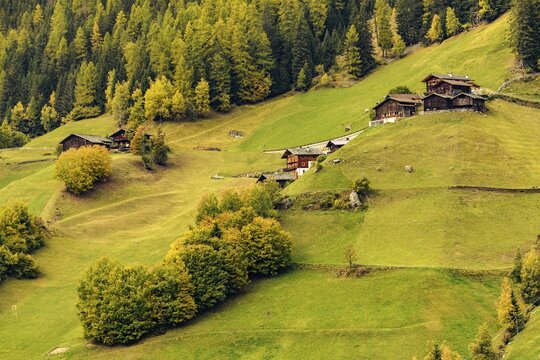 Old farms on mountain meadow, Ulten Valley, Merano, South Tyrol, Italy