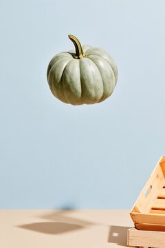 National pumpkin day winter squash floating weightlessly above a wooden crate with copy space for grocery delivery campaigns