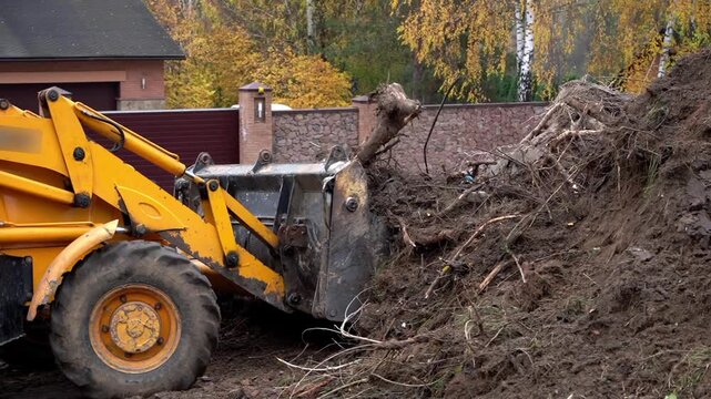 Yellow loader digs into muddy earth. Roots and soil pile high beside the vehicle. Background shows autumn trees and a house. No people are present. Ideal for construction or landscaping projects