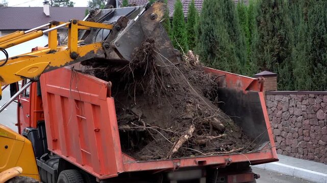 Excavator loads dirt and roots into red dump truck. Heavy machinery moves earth and debris. Work proceeds near residential homes and green hedges. Scene suggests cleanup or construction activity