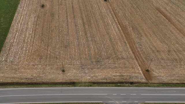 Harvested cereal field stretches beside a rural road in Italy, with dense stubble rows, field tracks and utility poles defining the agricultural landscape, aerial