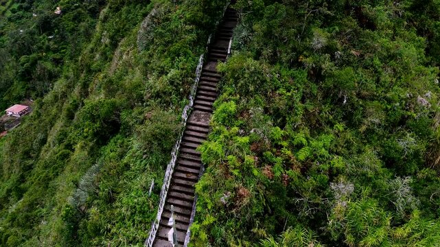 Aerial View of Steep Stairway Through Green Hillside in Quito Ecuador, El Panecillo Urban Landmark Trail, Dense Vegetation and Mountain City Scene