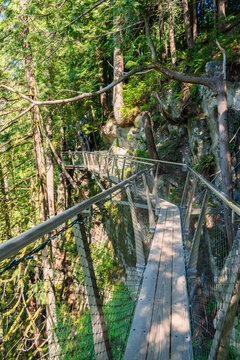 Vancouver Capilano Suspension Bridge Park 