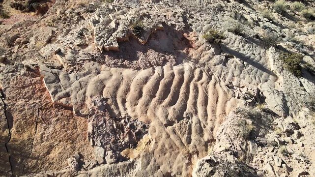 Ripple marked sedimentary rock layers form wavy patterns across an arid outcrop in northern Argentina.