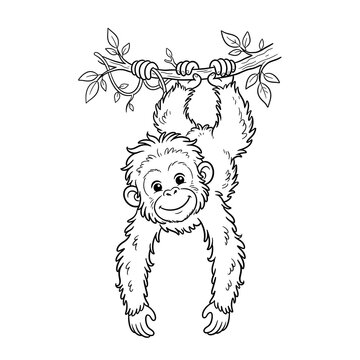 Cute baby orangutan hanging from a tree branch, hand drawn black and white line art illustration