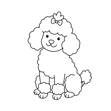 Cute poodle puppy line art drawing for kids coloring page illustration
