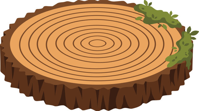 Tree stump vector illustration with tree rings and moss