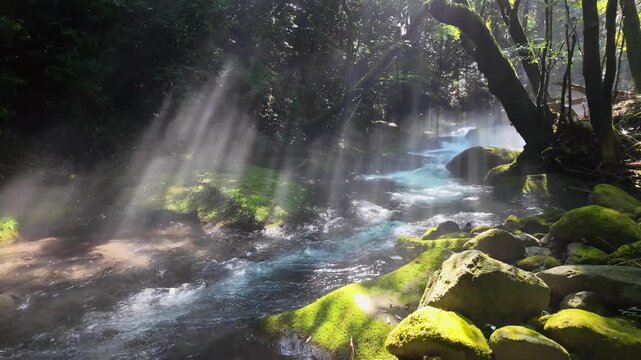 夏の立岩水源　阿蘇