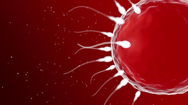 Sperm