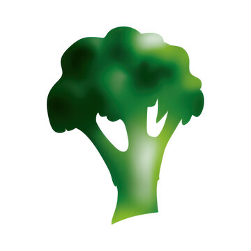 PNG Green broccoli illustration design