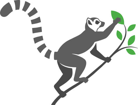 Stylized ring-tailed lemur silhouette climbing a branch with green leaves, depicting Madagascar wildlife in a clean vector graphic