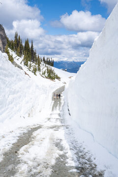 Views from the snow walls on Whistler Mountain in May