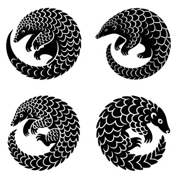 Four pangolin illustrations showcase detailed scale texture in black silhouette