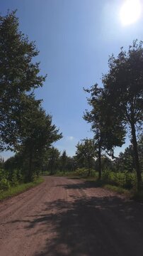 A slow forward journey down a sun-drenched dirt road in the countryside, with trees casting long shadows. Vertical footage.