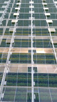 Vertical Aerial Drone Footage Flying Over a Large Modern Commercial Greenhouse Roof