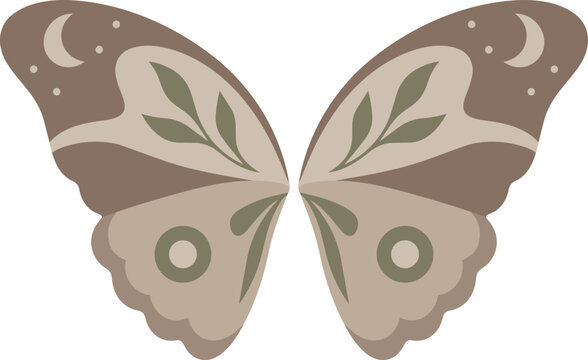 Brown Moth Wings With Olive Leaf Patterns