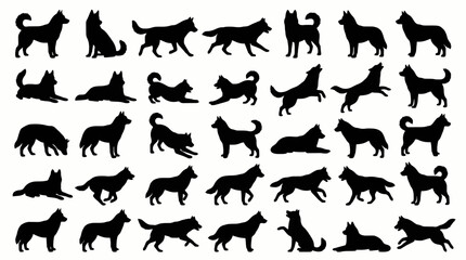 Obraz premium Siberian Husky Dog Silhouette Collection in Different Poses