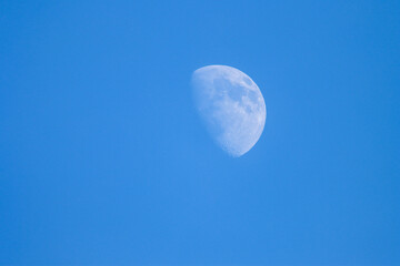 Sharp view of the moon with clearly visible craters set against a pristine blue winter sky © Catalin